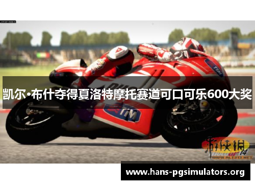 凯尔·布什夺得夏洛特摩托赛道可口可乐600大奖 凯尔·布什夺得夏洛特摩托赛道可口可乐600大奖