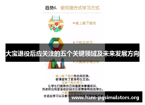 大宝退役后应关注的五个关键领域及未来发展方向 大宝退役后应关注的五个关键领域及未来发展方向