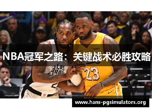 NBA冠军之路:关键战术必胜攻略 NBA冠军之路:关键战术必胜攻略