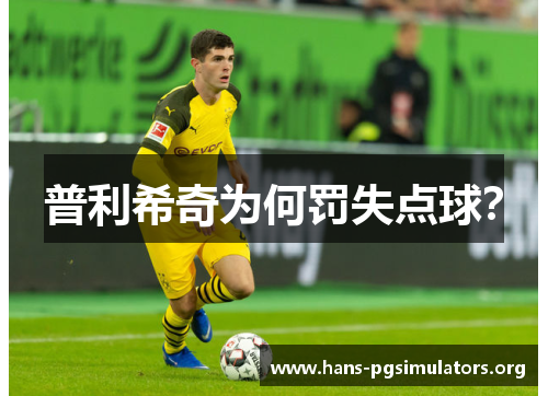 普利希奇为何罚失点球? 普利希奇为何罚失点球?