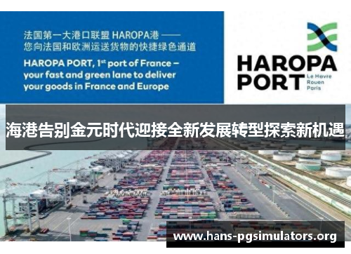 海港告别金元时代迎接全新发展转型探索新机遇 海港告别金元时代迎接全新发展转型探索新机遇