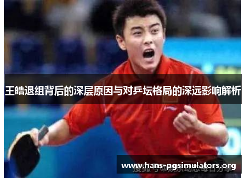 王皓退组背后的深层原因与对乒坛格局的深远影响解析 王皓退组背后的深层原因与对乒坛格局的深远影响解析