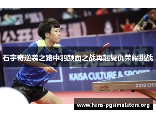 石宇奇逆袭之路中羽颜面之战再起复仇荣耀挑战 石宇奇逆袭之路中羽颜面之战再起复仇荣耀挑战