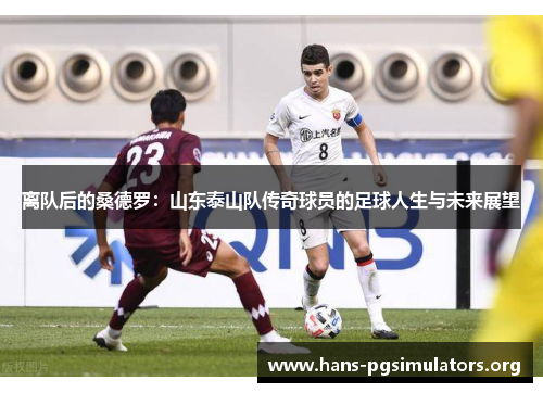 离队后的桑德罗:山东泰山队传奇球员的足球人生与未来展望 离队后的桑德罗:山东泰山队传奇球员的足球人生与未来展望