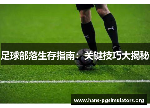 足球部落生存指南:关键技巧大揭秘 足球部落生存指南:关键技巧大揭秘